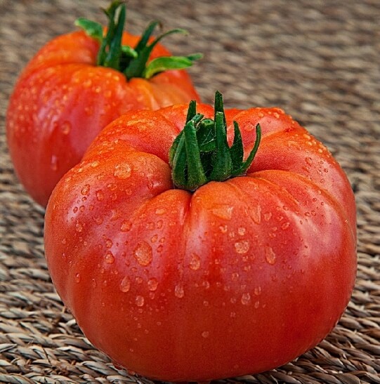 Топ засухоустойчивых сортов помидоров для выращивания
